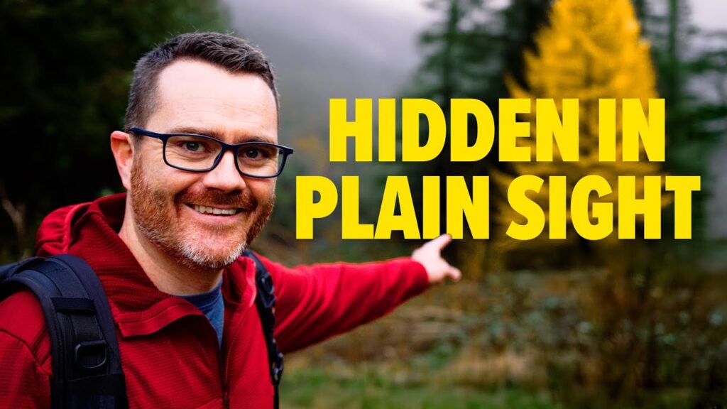 Ireland’s BIGGEST SECRET Is Hidden In This Forest…