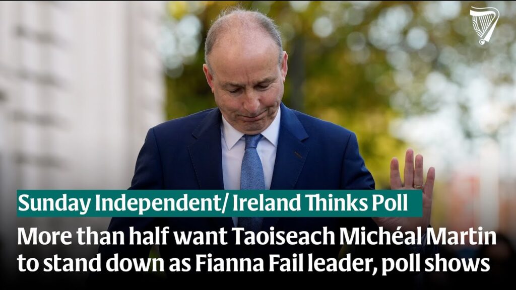 More than half want Taoiseach Michéal Martin to stand down as Fianna Fail leader, poll shows