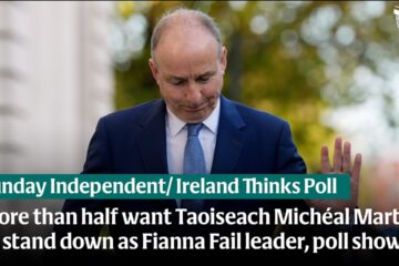 More than half want Taoiseach Michéal Martin to stand down as Fianna Fail leader, poll shows
