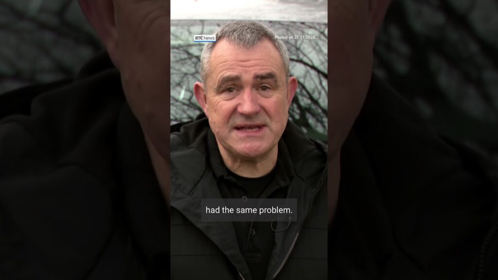 Are foxes to blame for the damage to dozens of cars in Dublin?