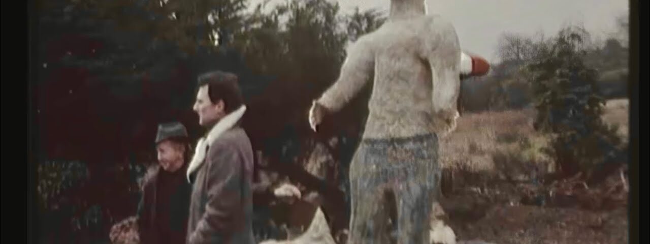 The Irish “Disneyland” 1983