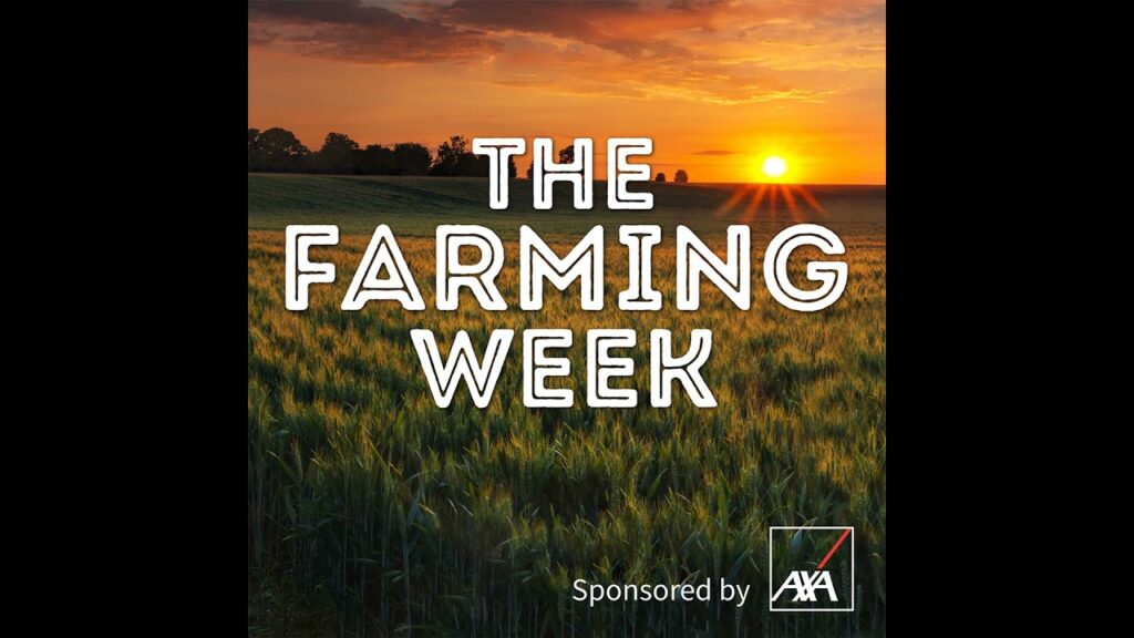 Nitrates Derogation | Scheme Payments Latest | The €33,500 Heifer Nitrates Derogation | Scheme Payments Latest | The €33,500 Heifer