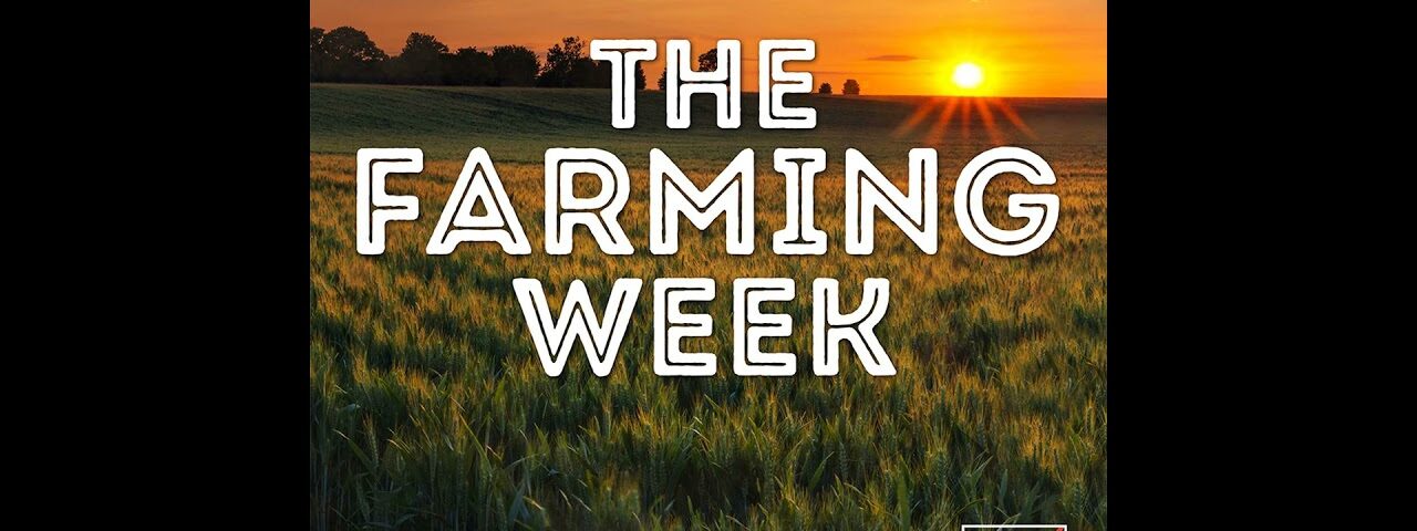 Nitrates Derogation | Scheme Payments Latest | The €33,500 Heifer