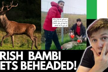 Irish Stag “BAMBI” BEHEADED By Unknowns In Dublin