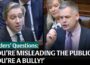 ‘Bully-boy Pearse!’ Harris & Doherty clash in the Dáil