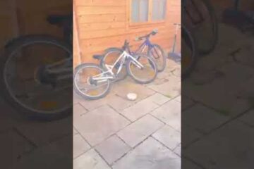 Meanwhile in Dublin !