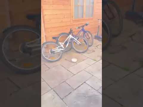 Meanwhile in Dublin !