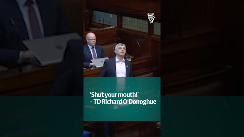 ‘Shut your mouth!’ – TD Richard O’Donoghue heckled during Dáil debate on trans healthcare ‘Shut your mouth!’ – TD Richard O’Donoghue heckled during Dáil debate on trans healthcare
