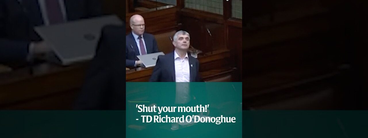 ‘Shut your mouth!’ – TD Richard O’Donoghue heckled during Dáil debate on trans healthcare