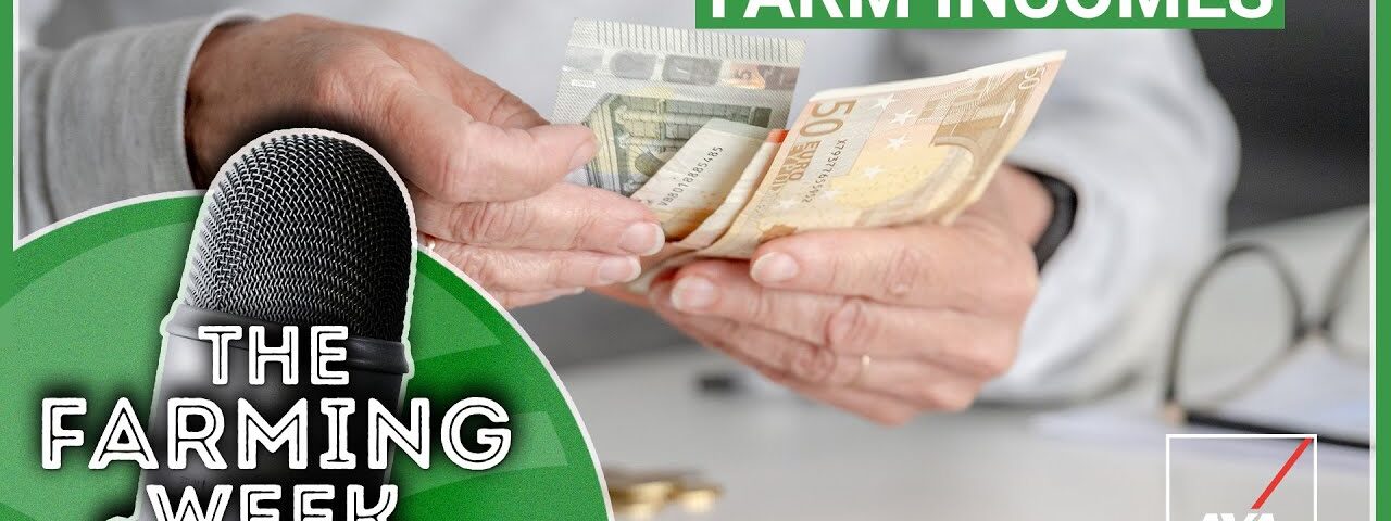 Bluetongue | Derogation Developments | Farm incomes