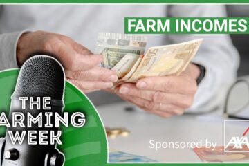 Bluetongue | Derogation Developments | Farm incomes