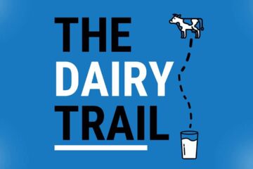 Feeding and breeding to boost winter milk performance