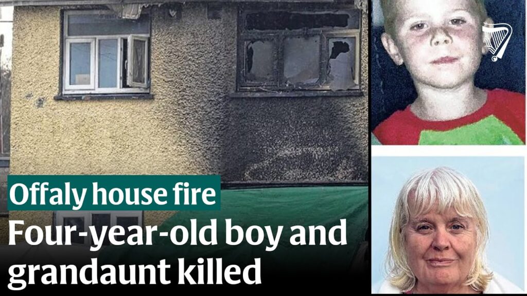 Gardaí hunting gang behind horrific Offaly attack that killed young boy and grandaunt