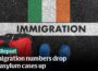 ESRI release report into migration trends in Ireland