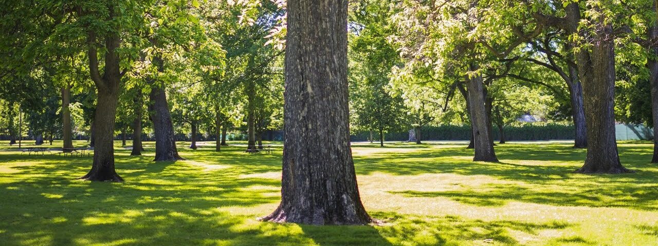 ‘Concerning’: Plans to change name of Irish park halted