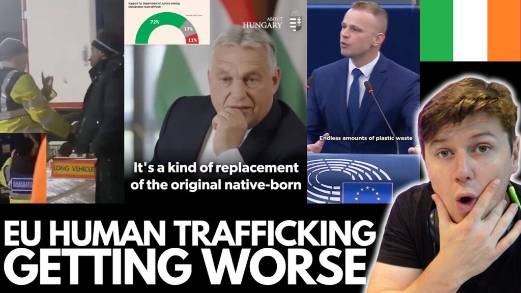 Illegal Migrants Smuggled into Ireland at Rosslare