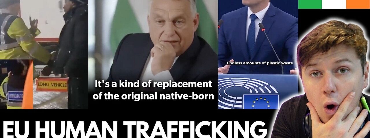 Illegal Migrants Smuggled into Ireland at Rosslare