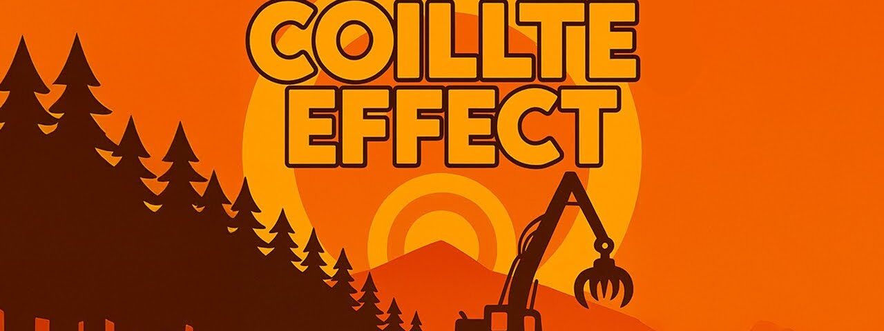 Irish Forestry Scandal